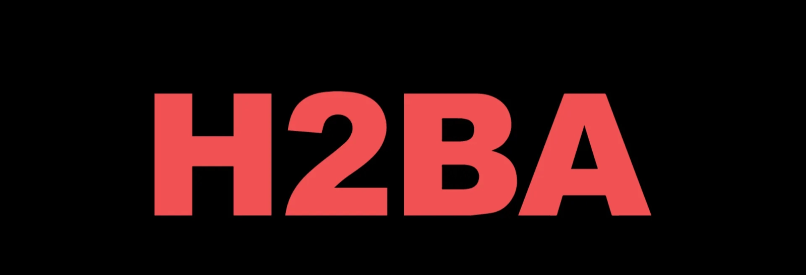 H2BA Merchandise project artwork