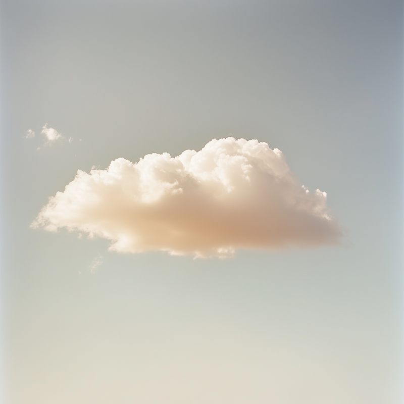 Archive artwork 2